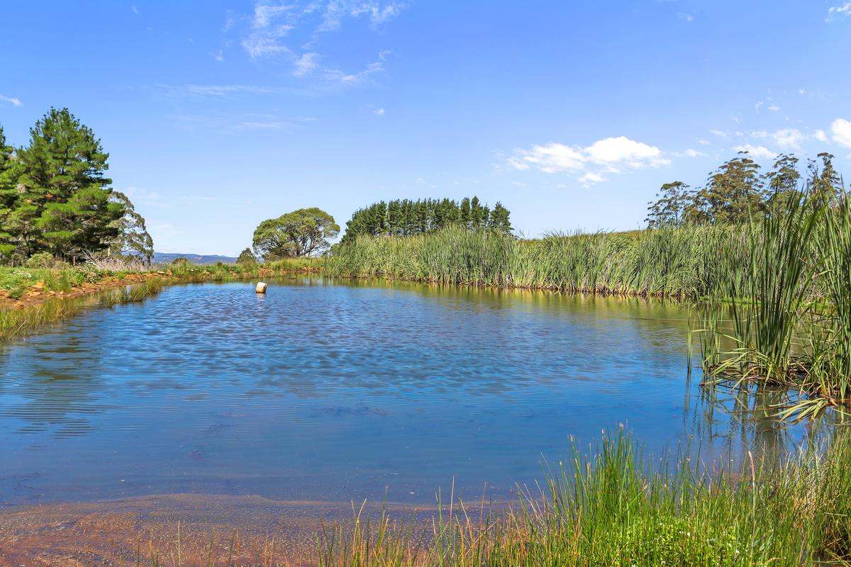 9485 Thunderbolts Way, Nowendoc Auction by Farmbuy.com - image 6