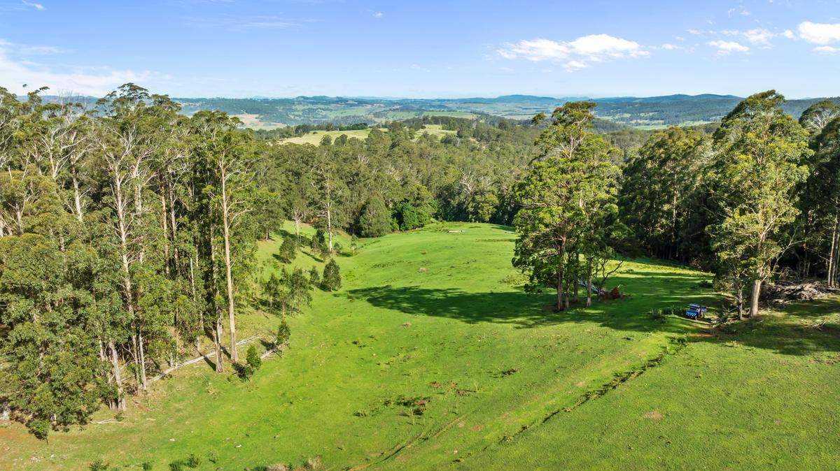 9485 Thunderbolts Way, Nowendoc Auction by Farmbuy.com - image 17
