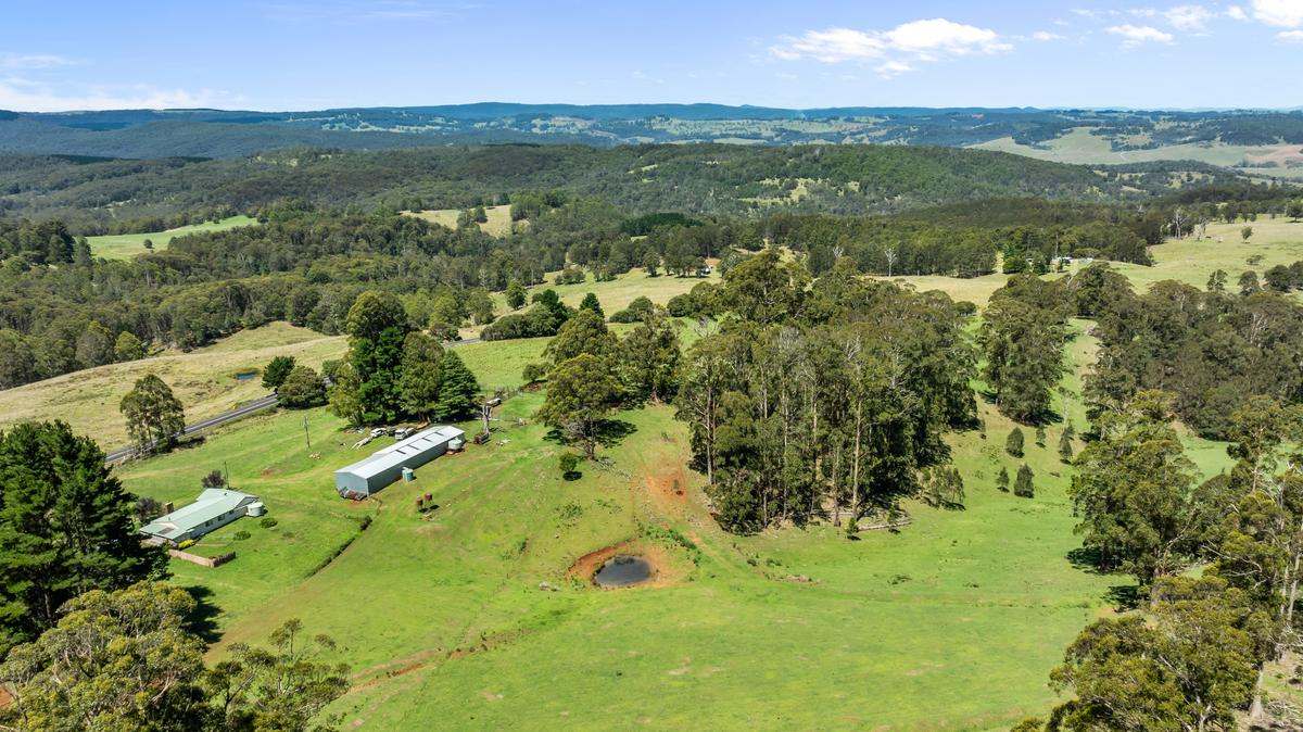 9485 Thunderbolts Way, Nowendoc Auction by Farmbuy.com - image 11