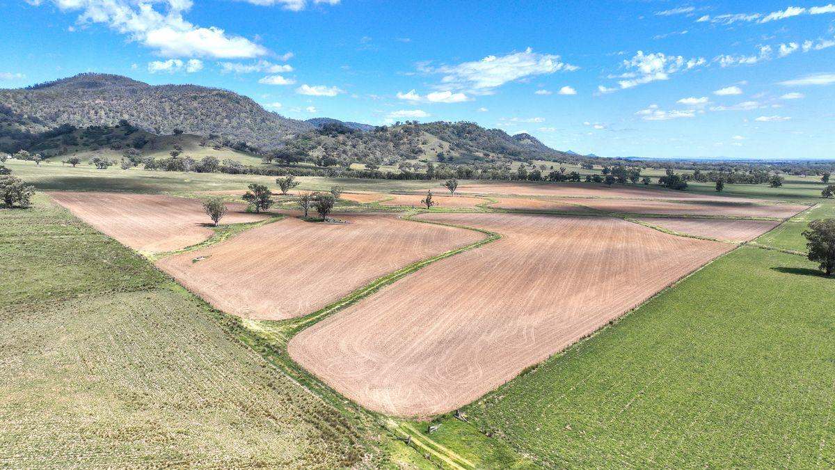 12085 New England Highway, Gowrie Expressions of Interest by Farmbuy.com - image 13