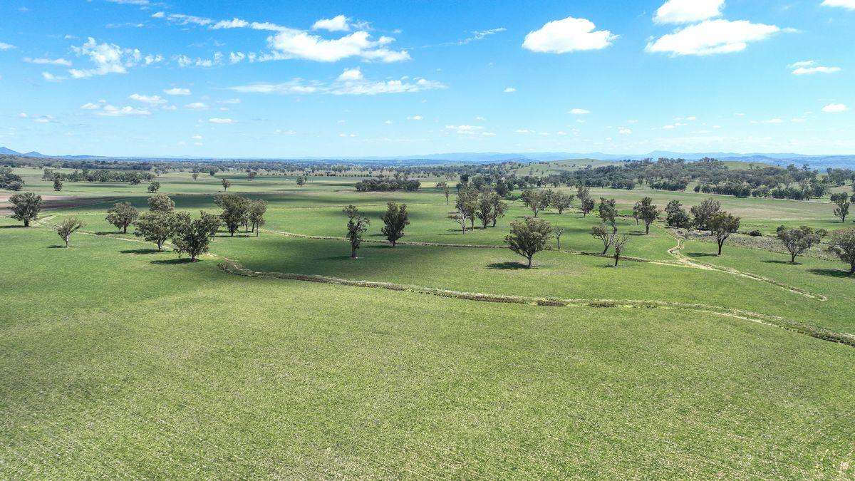 12085 New England Highway, Gowrie Expressions of Interest by Farmbuy.com - image 12