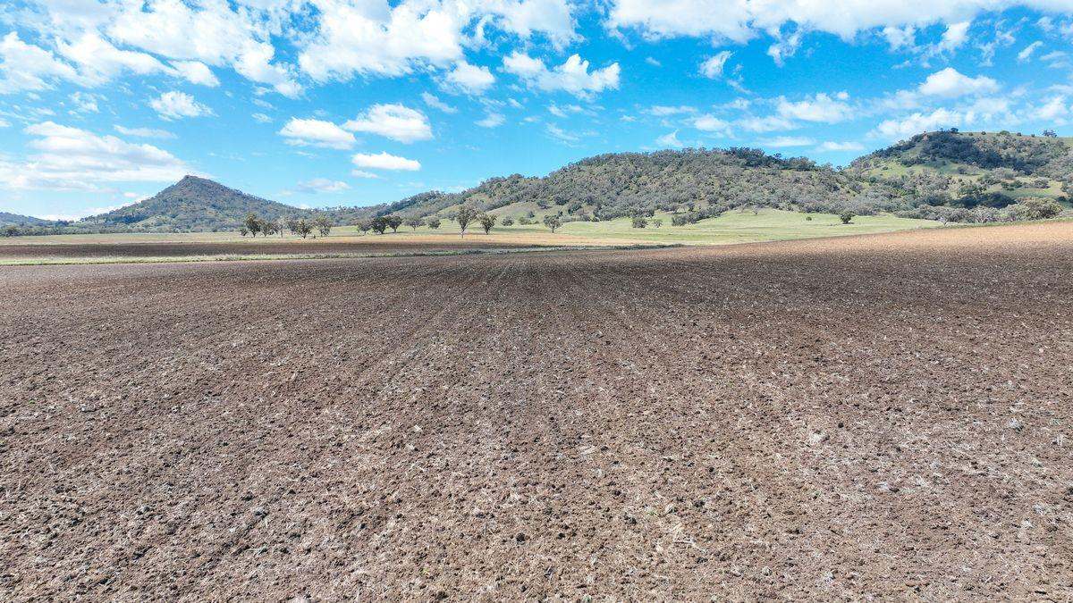 12085 New England Highway, Gowrie Expressions of Interest by Farmbuy.com - image 10