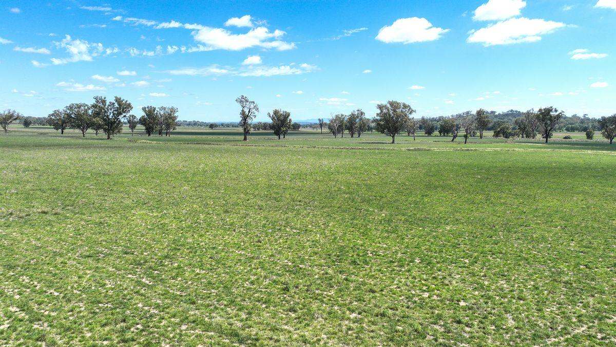 12085 New England Highway, Gowrie Expressions of Interest by Farmbuy.com - image 11