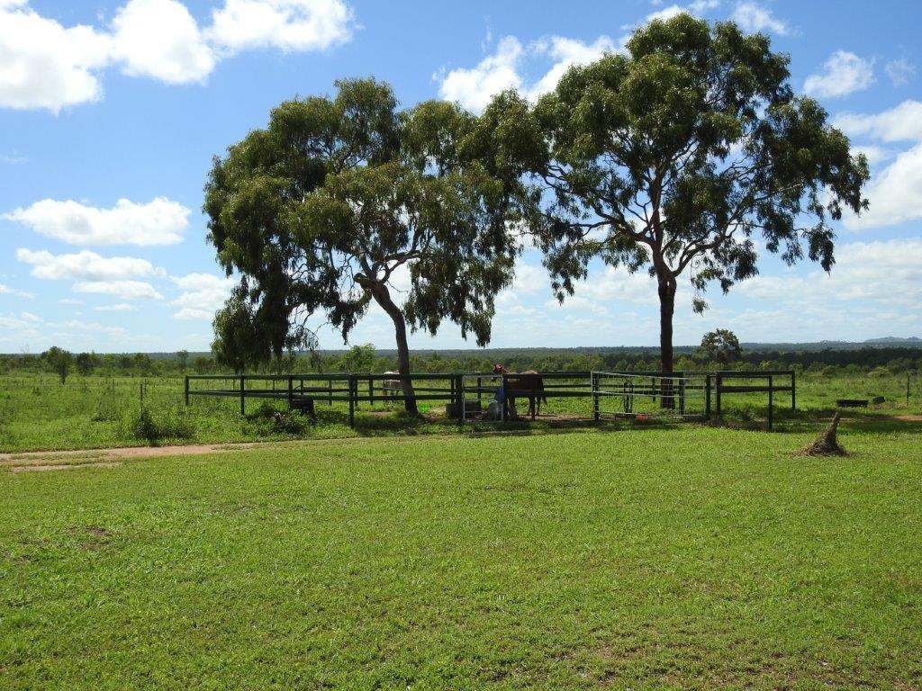 513 Percy Springs Road, Southern Cross Sold by Farmbuy.com - image 16