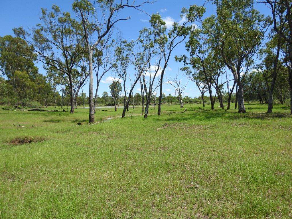 513 Percy Springs Road, Southern Cross Sold by Farmbuy.com - image 24