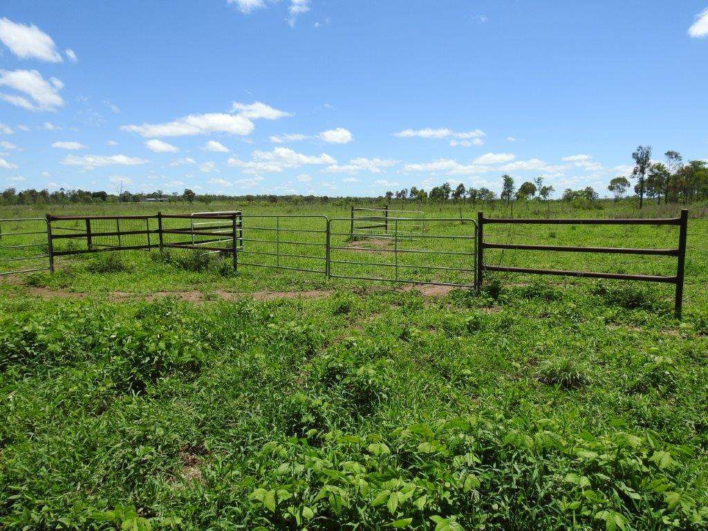 513 Percy Springs Road, Southern Cross Sold by Farmbuy.com - image 22