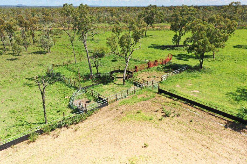 513 Percy Springs Road, Southern Cross Sold by Farmbuy.com - image 38