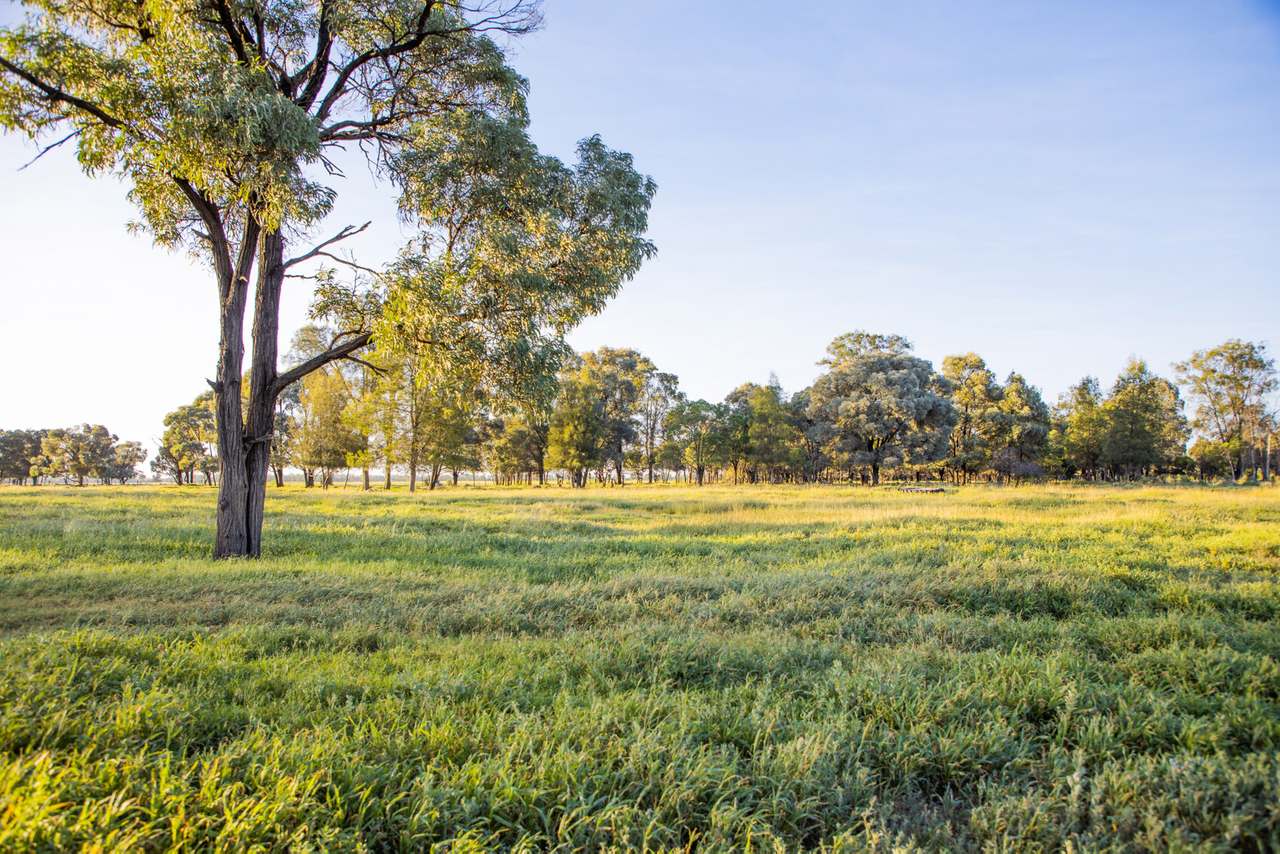 Crowders Creek Road, Moonie Sold by Farmbuy.com - image 3