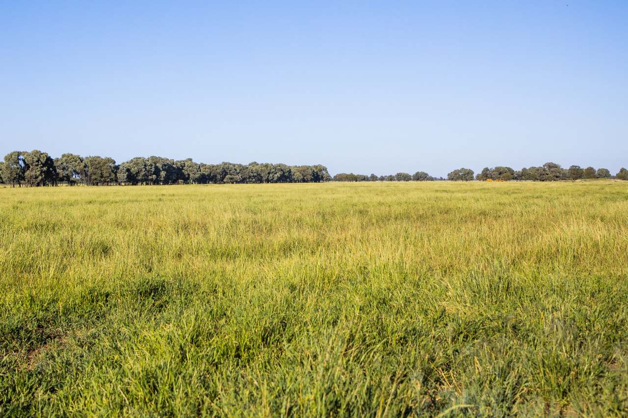 Crowders Creek Road, Moonie Sold by Farmbuy.com - image 21