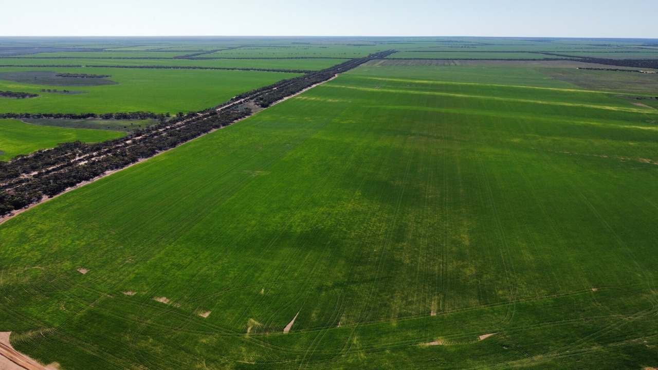 42666 Eyre Highway, Mudamuckla For Sale by Farmbuy.com - image 16