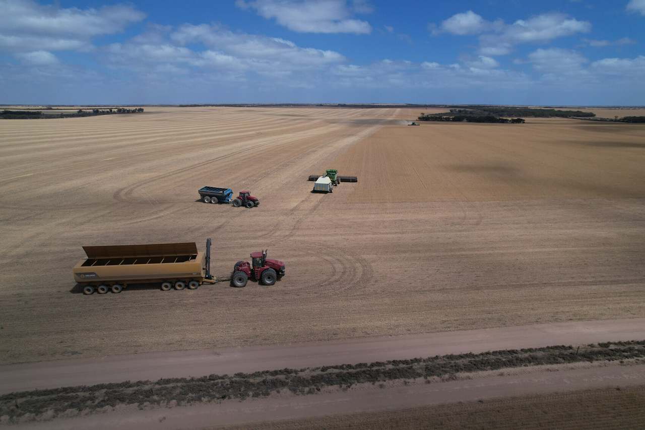 42666 Eyre Highway, Mudamuckla For Sale by Farmbuy.com - image 12