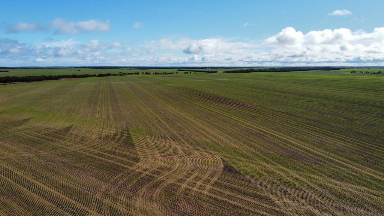 42666 Eyre Highway, Mudamuckla For Sale by Farmbuy.com - image 17