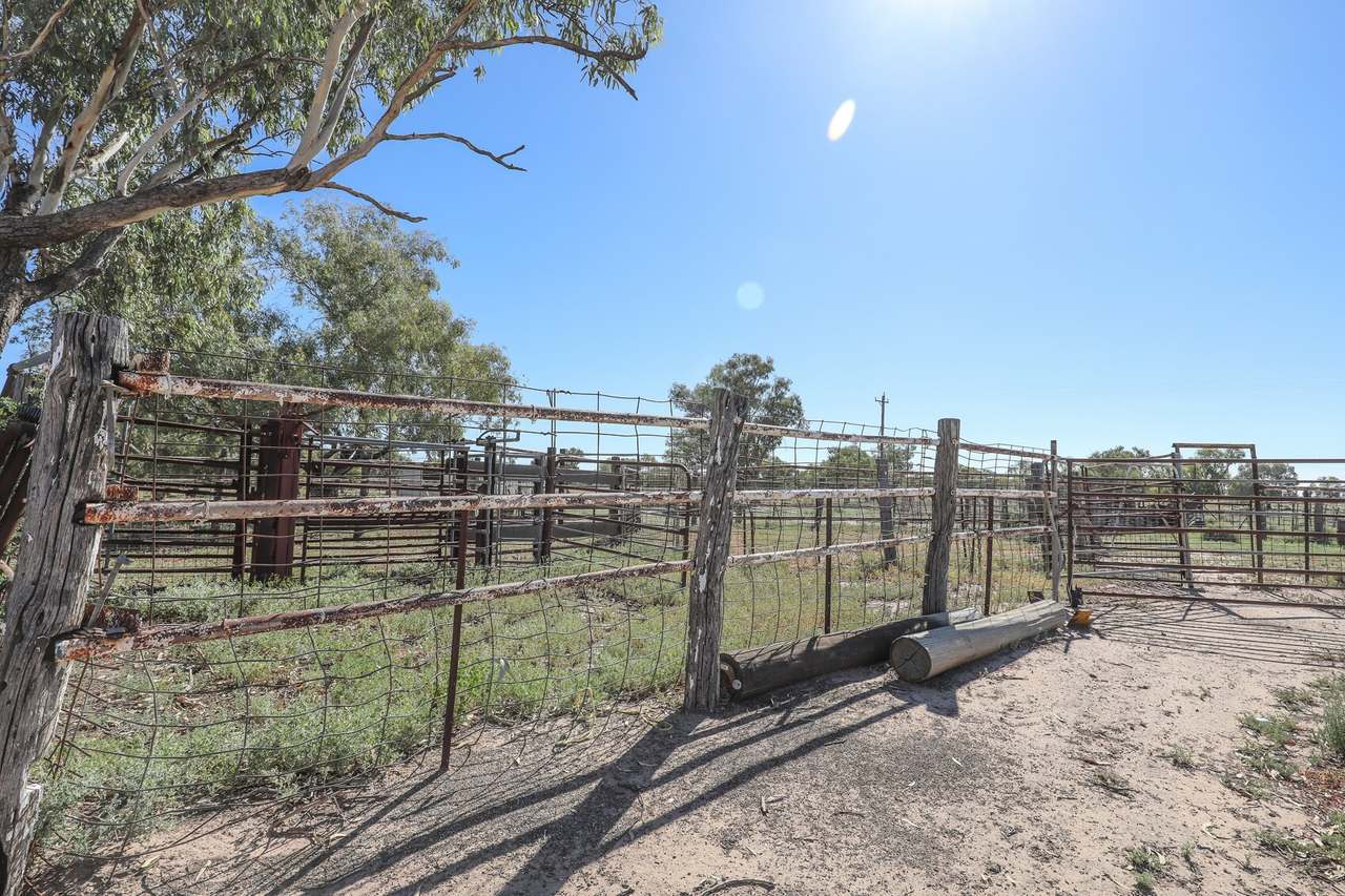 167 Tancred Drive , Bourke  For Sale by Farmbuy.com - image 5