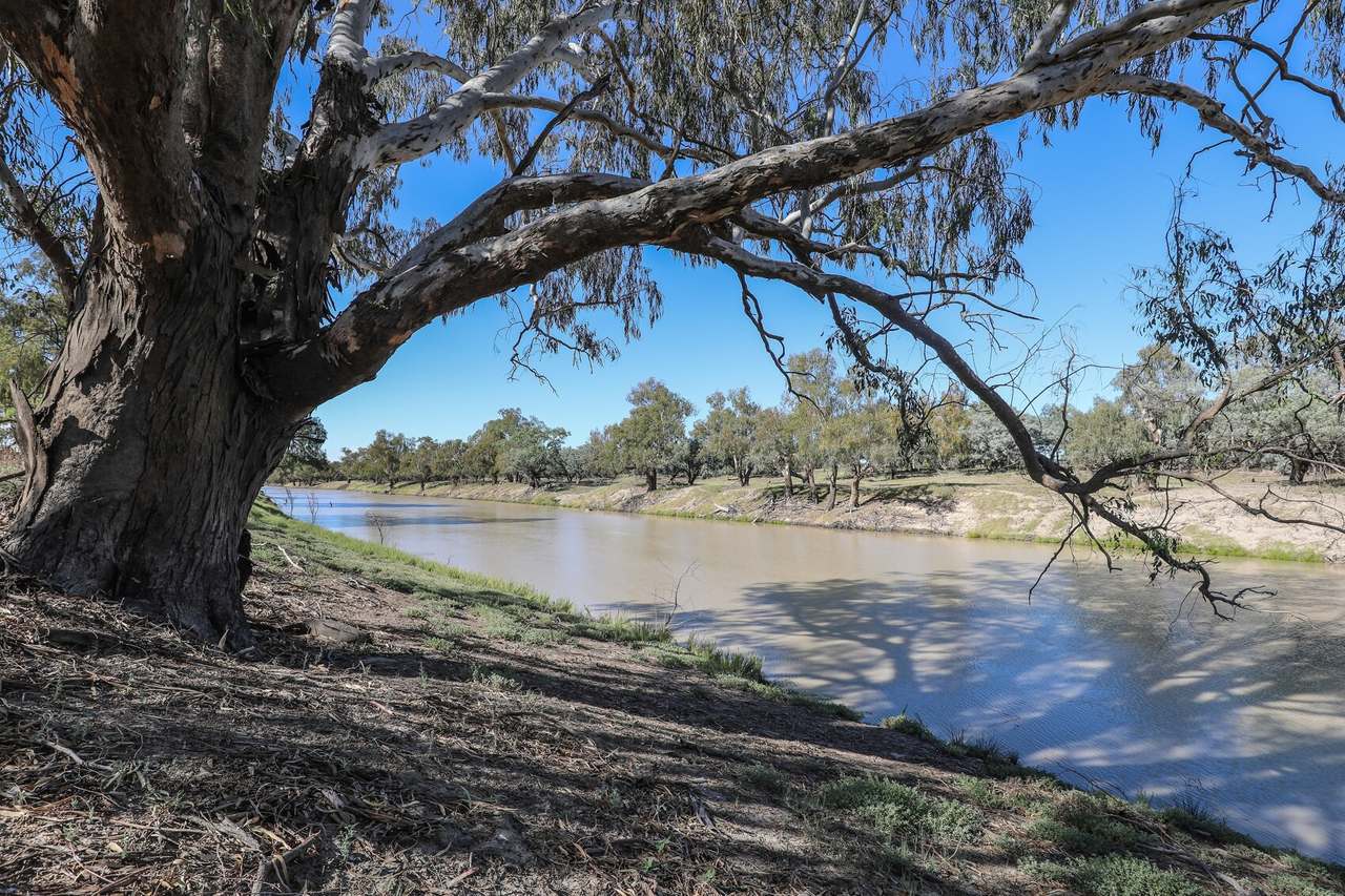 167 Tancred Drive , Bourke  For Sale by Farmbuy.com - image 4