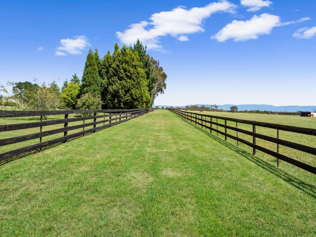 510 Marlborough Street, Longford For Sale by Farmbuy.com - image 17