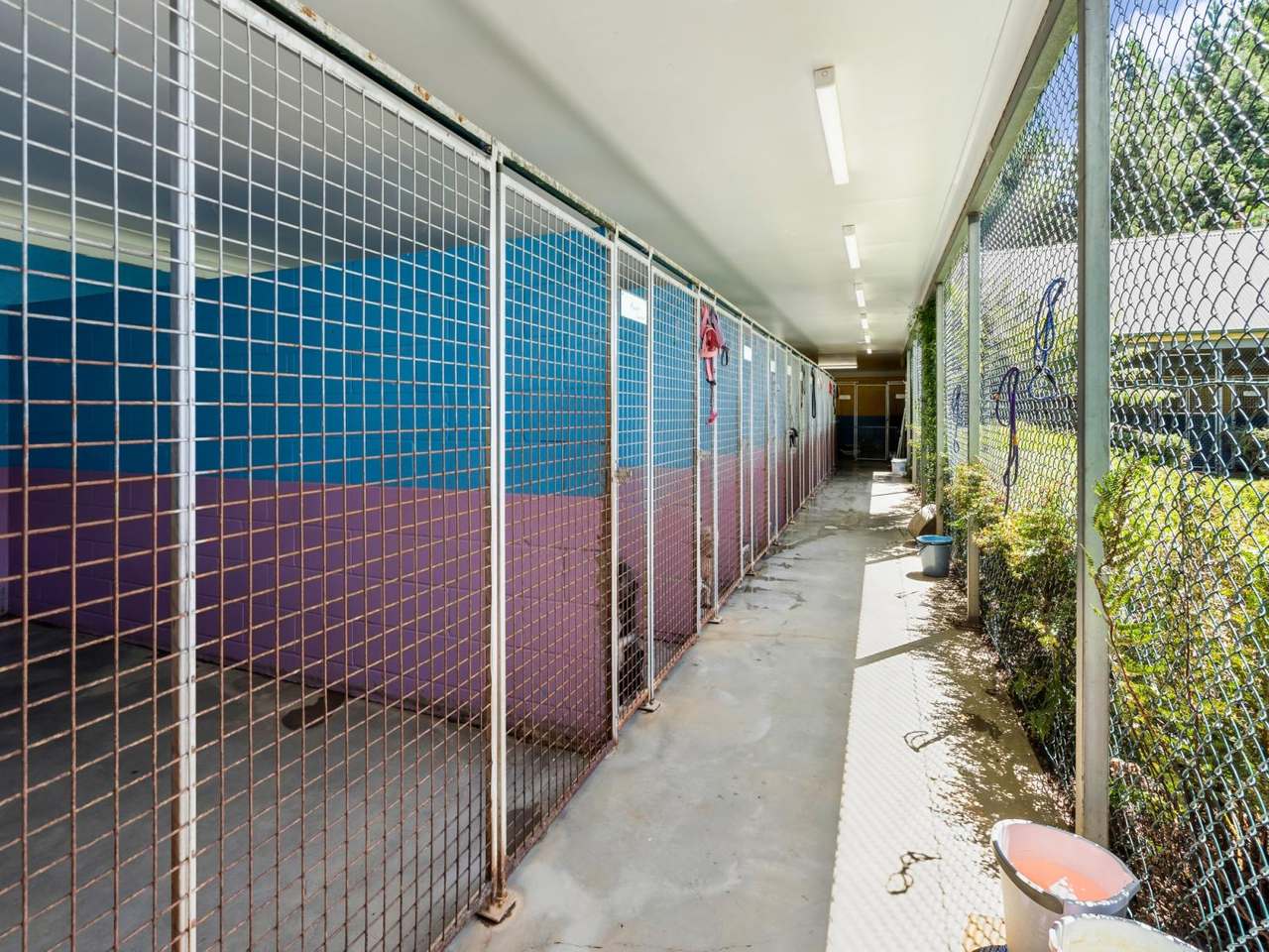 510 Marlborough Street, Longford For Sale by Farmbuy.com - image 12