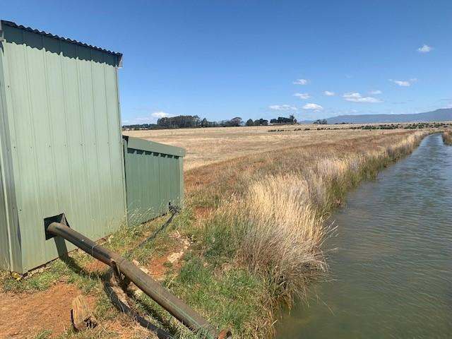 510 Marlborough Street, Longford For Sale by Farmbuy.com - image 19