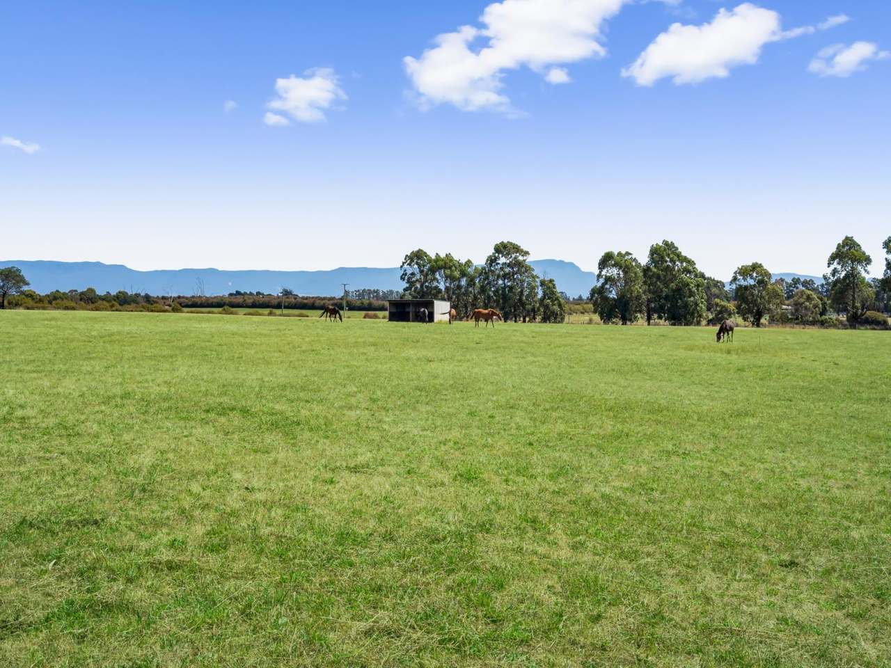 510 Marlborough Street, Longford For Sale by Farmbuy.com - image 18