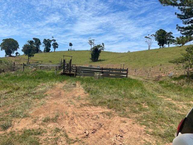 407 Hosie Road, Tarzali For Sale by Farmbuy.com - image 5