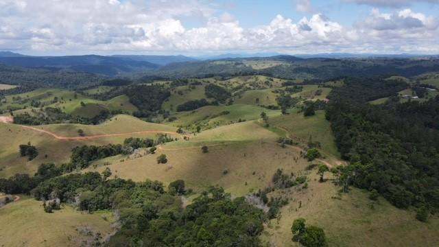 407 Hosie Road, Tarzali For Sale by Farmbuy.com - image 2
