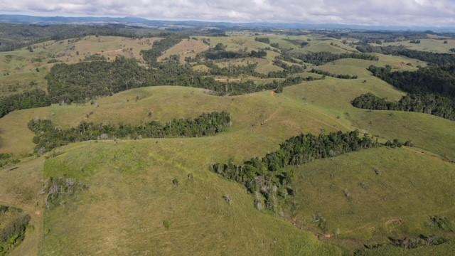 407 Hosie Road, Tarzali For Sale by Farmbuy.com - image 3