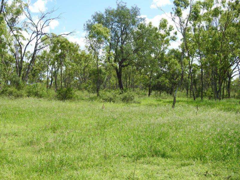71 Huey Road, Black Jack Sold by Farmbuy.com - image 21