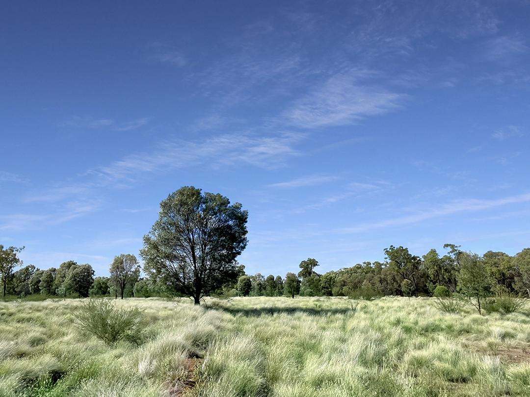 770 Bests Road, Drillham South Auction by Farmbuy.com - image 3