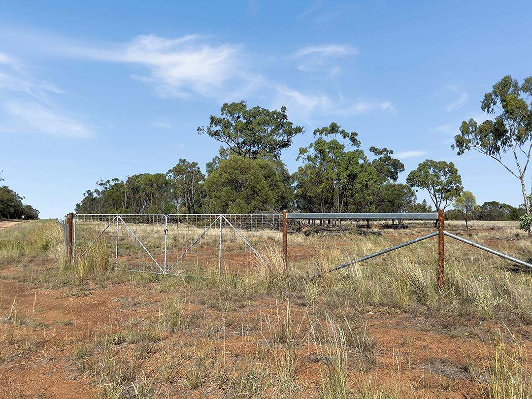 770 Bests Road, Drillham South Auction by Farmbuy.com - image 13