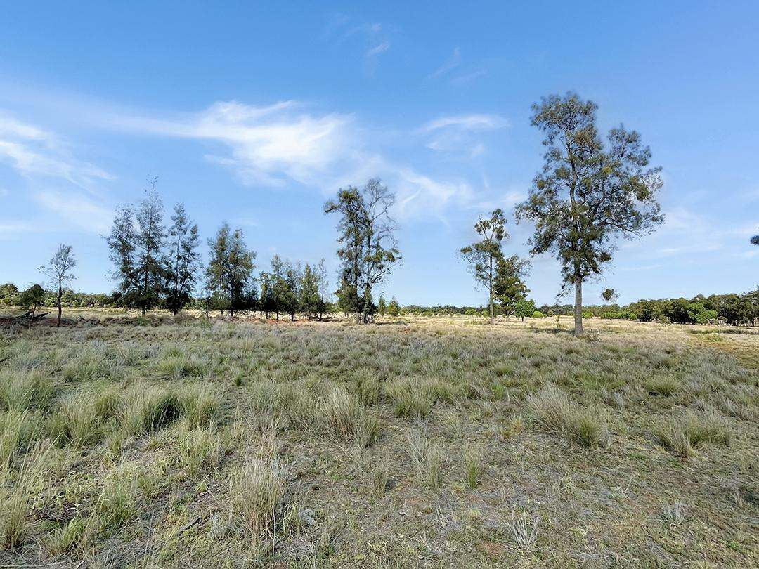 770 Bests Road, Drillham South Auction by Farmbuy.com - image 5