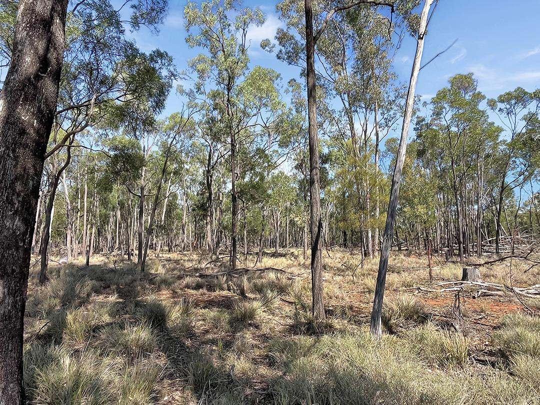 770 Bests Road, Drillham South Auction by Farmbuy.com - image 4