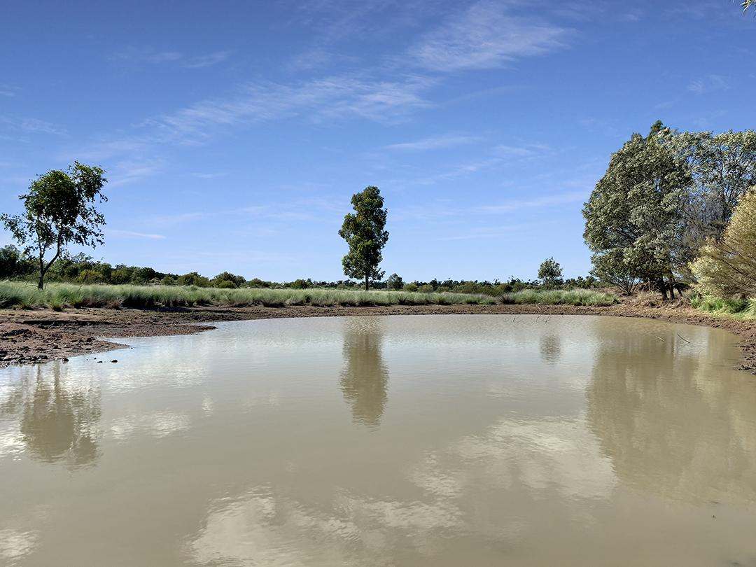 770 Bests Road, Drillham South Auction by Farmbuy.com - image 6