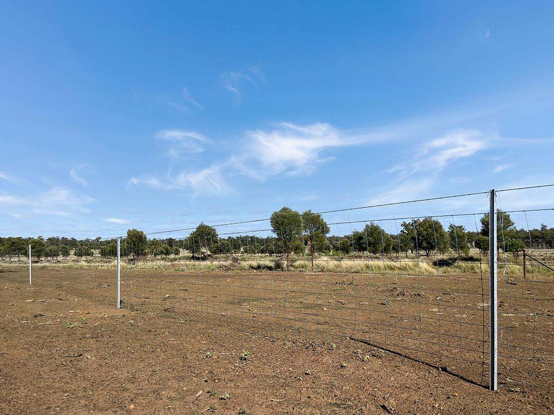 770 Bests Road, Drillham South Auction by Farmbuy.com - image 12