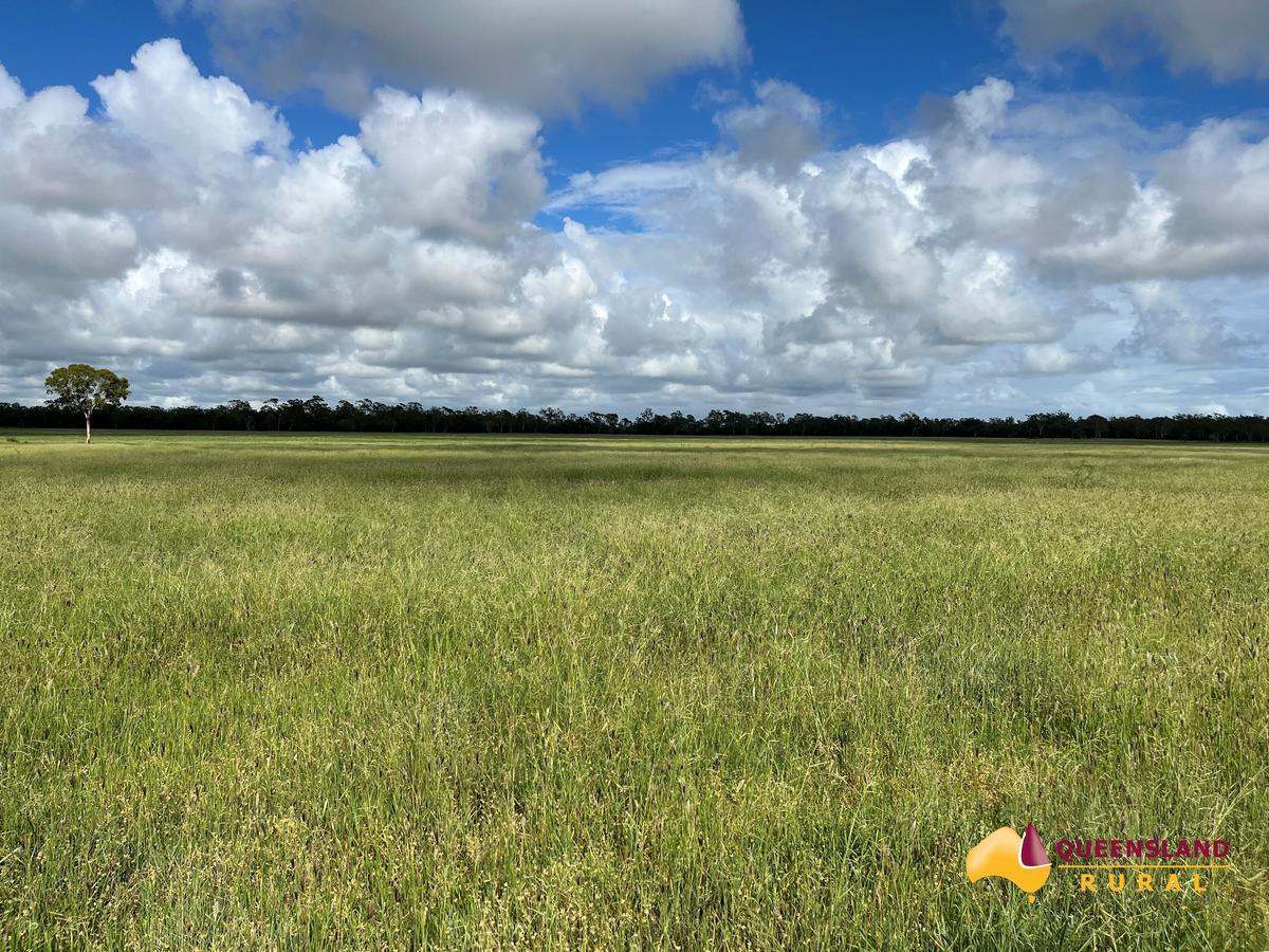 Molongle Station, Gumlu  For Sale by Farmbuy.com - image 3