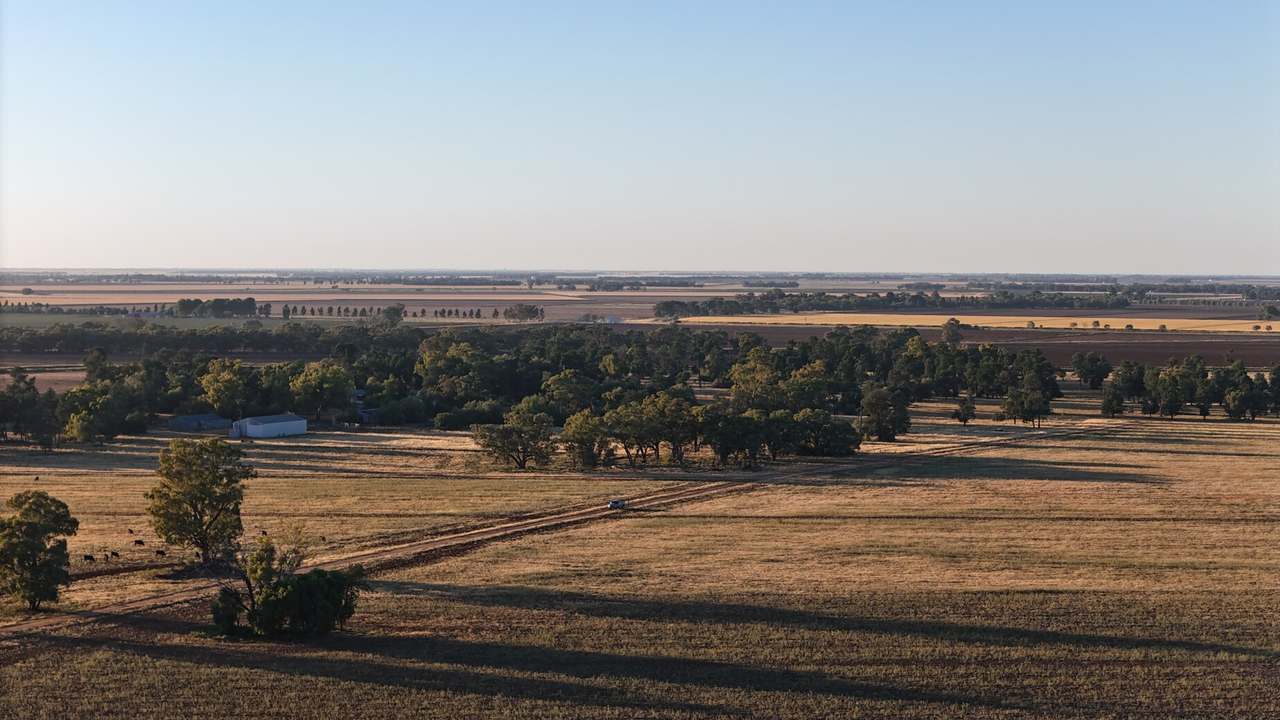 Donald Ross Drive, Coleambally Sold by Farmbuy.com - image 4