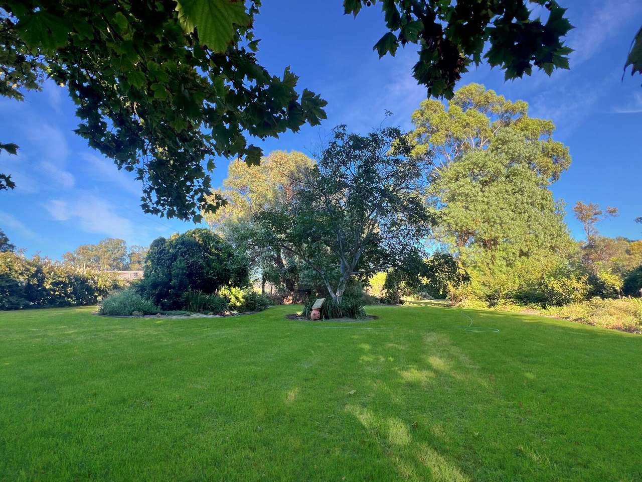 Donald Ross Drive, Coleambally Sold by Farmbuy.com - image 14