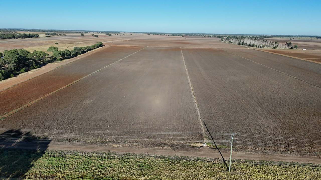 Donald Ross Drive, Coleambally Sold by Farmbuy.com - image 10