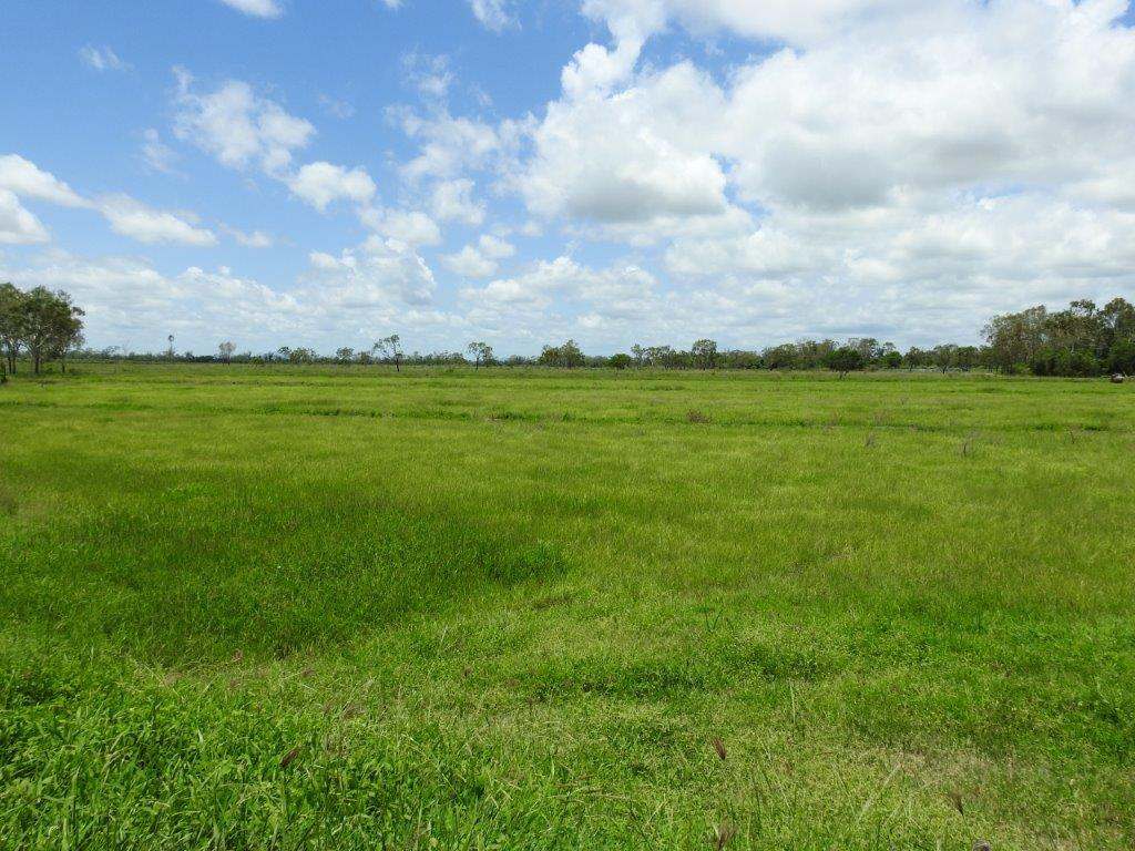 1429 Dingo Park Road, Woodstock Sold by Farmbuy.com - image 18