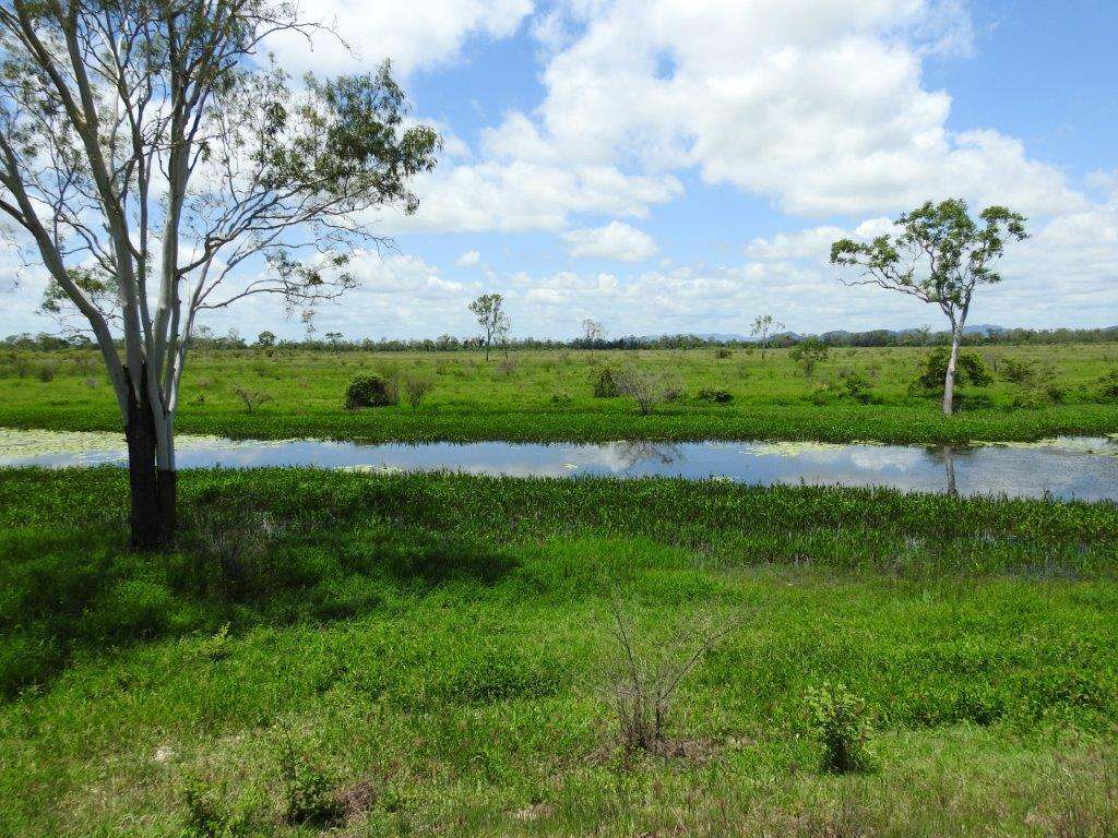 1429 Dingo Park Road, Woodstock Sold by Farmbuy.com - image 14