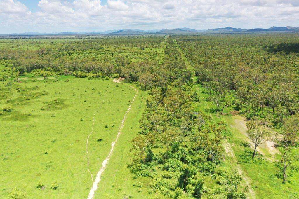 1429 Dingo Park Road, Woodstock Sold by Farmbuy.com - image 21