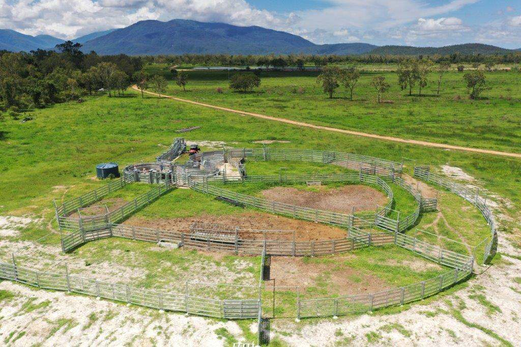 1429 Dingo Park Road, Woodstock Sold by Farmbuy.com - image 24