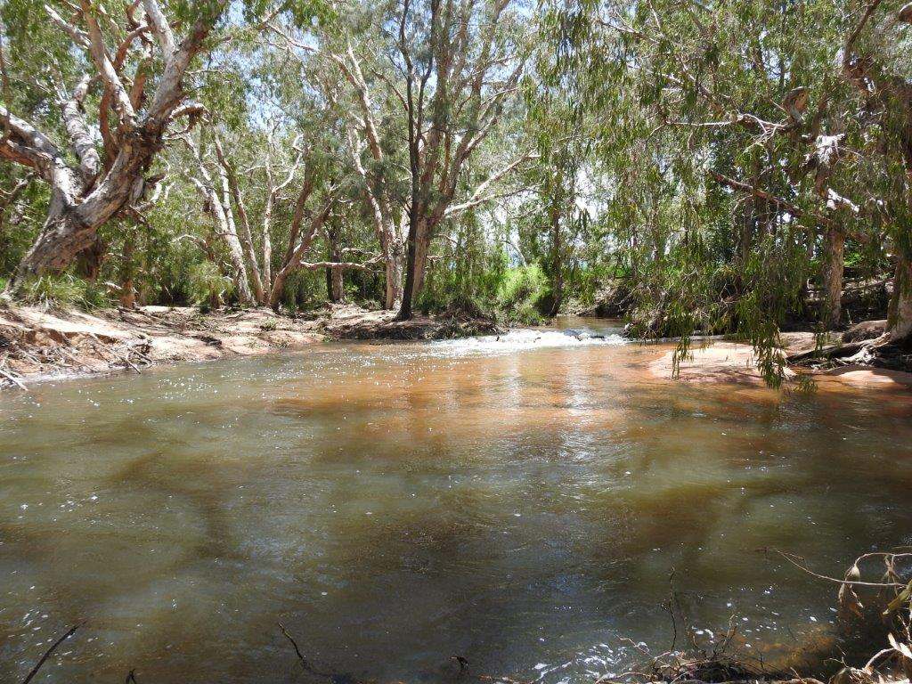 1429 Dingo Park Road, Woodstock Sold by Farmbuy.com - image 15