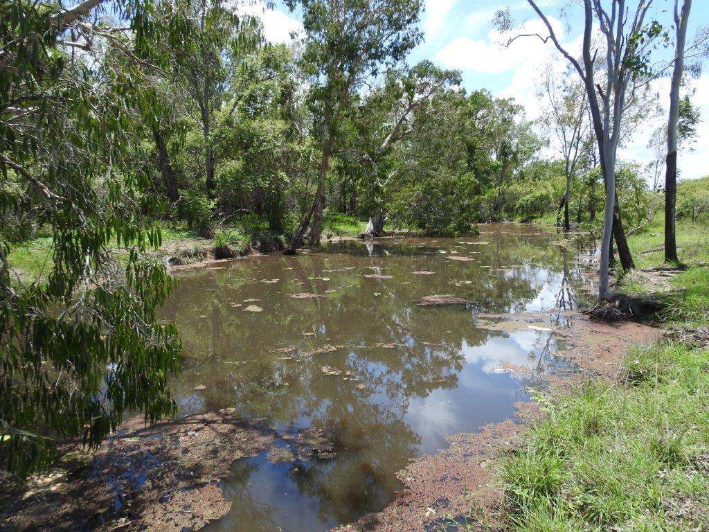 1429 Dingo Park Road, Woodstock Sold by Farmbuy.com - image 13