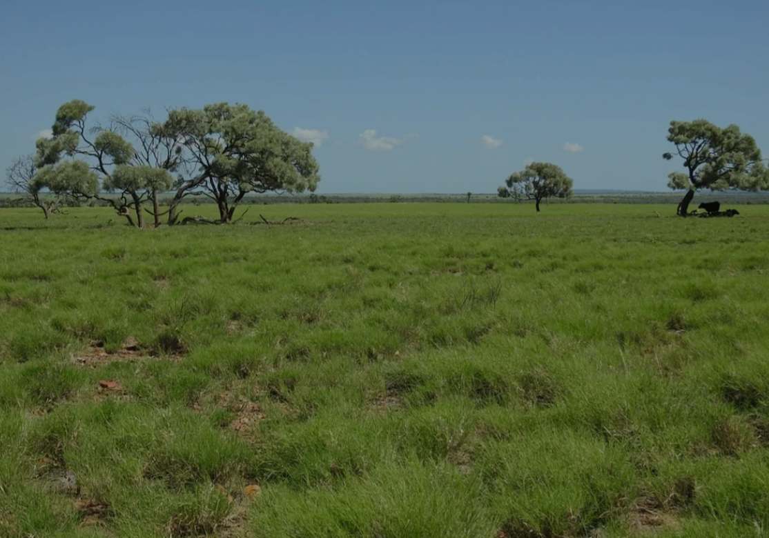 Barragunda, Hughenden Sold by Farmbuy.com - image 3