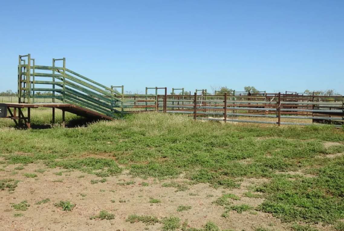 Barragunda, Hughenden Sold by Farmbuy.com - image 19