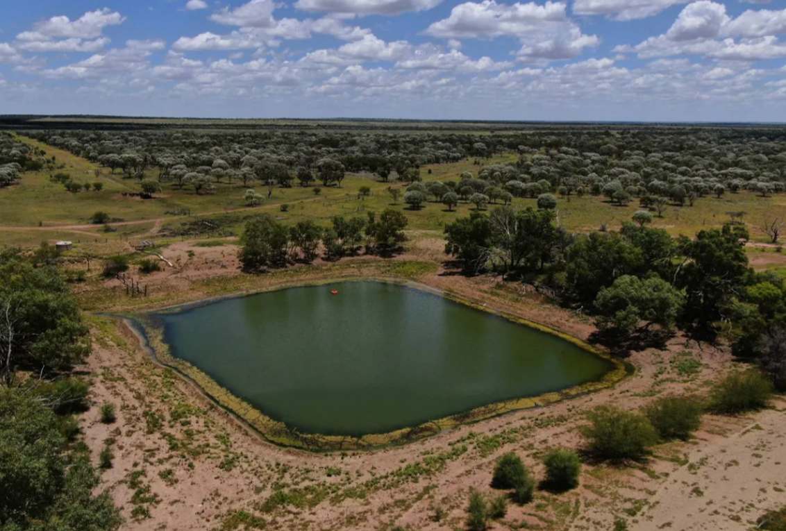 Barragunda, Hughenden Sold by Farmbuy.com - image 5