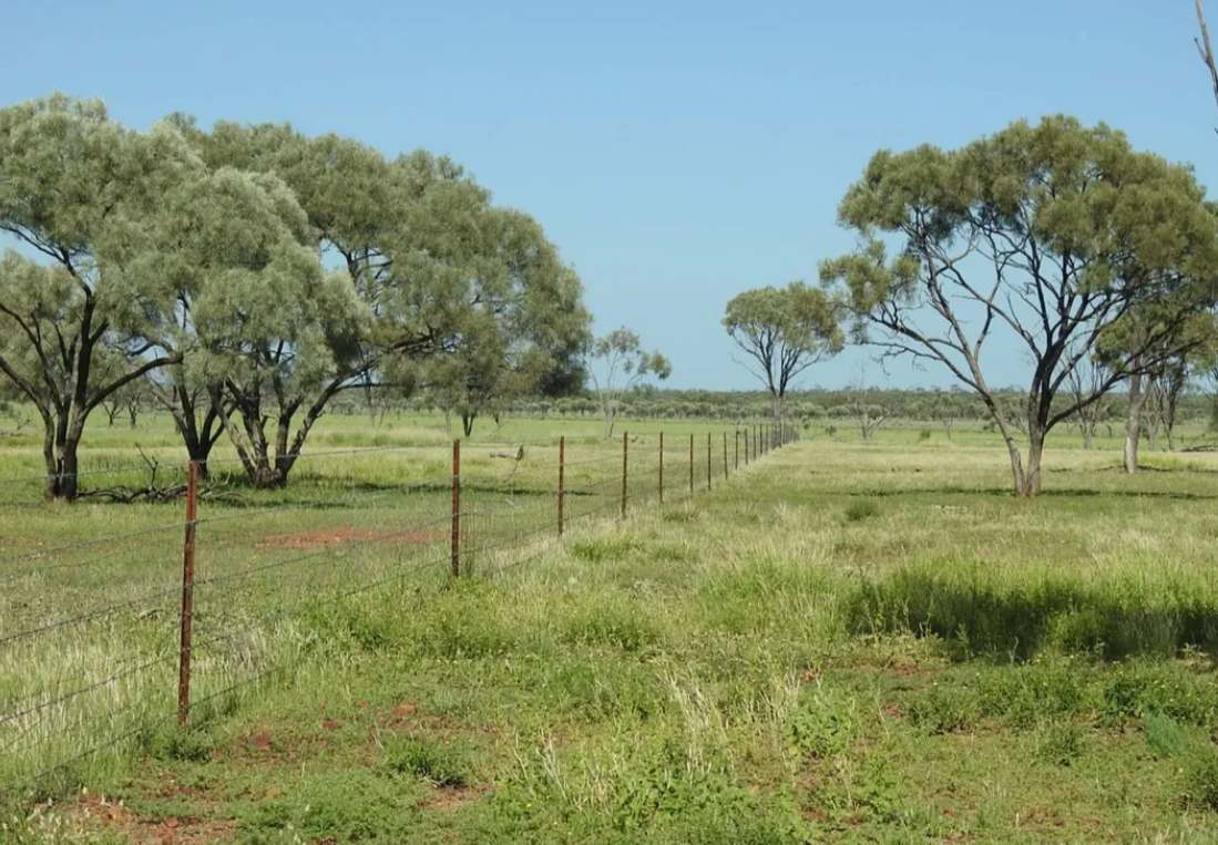 Barragunda, Hughenden Sold by Farmbuy.com - image 18