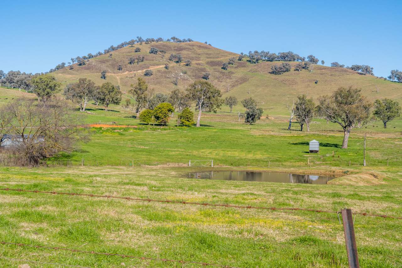 2581 Murray Valley Highway, Huon For Sale by Farmbuy.com - image 10
