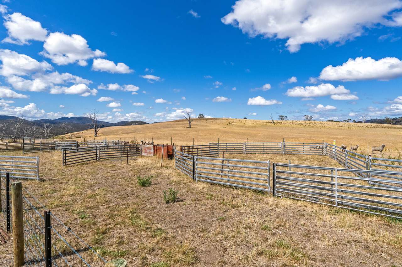 83 Swan Street, Bagdad Sold by Farmbuy.com - image 17