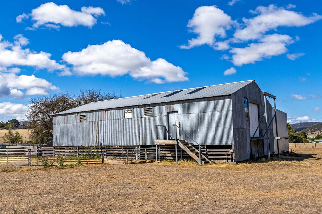 83 Swan Street, Bagdad Sold by Farmbuy.com - image 11