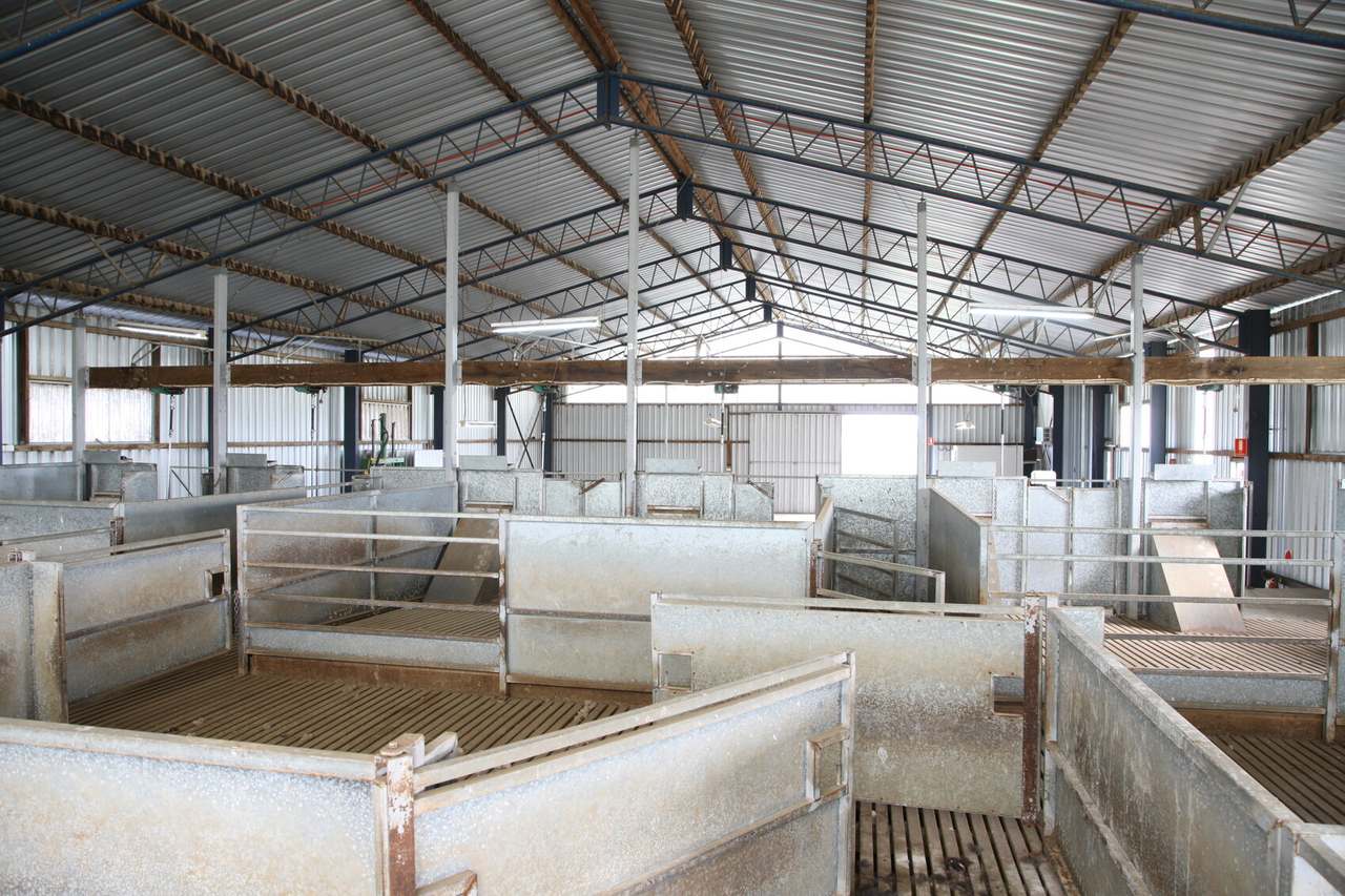 Walcha Sold by Farmbuy.com - image 19